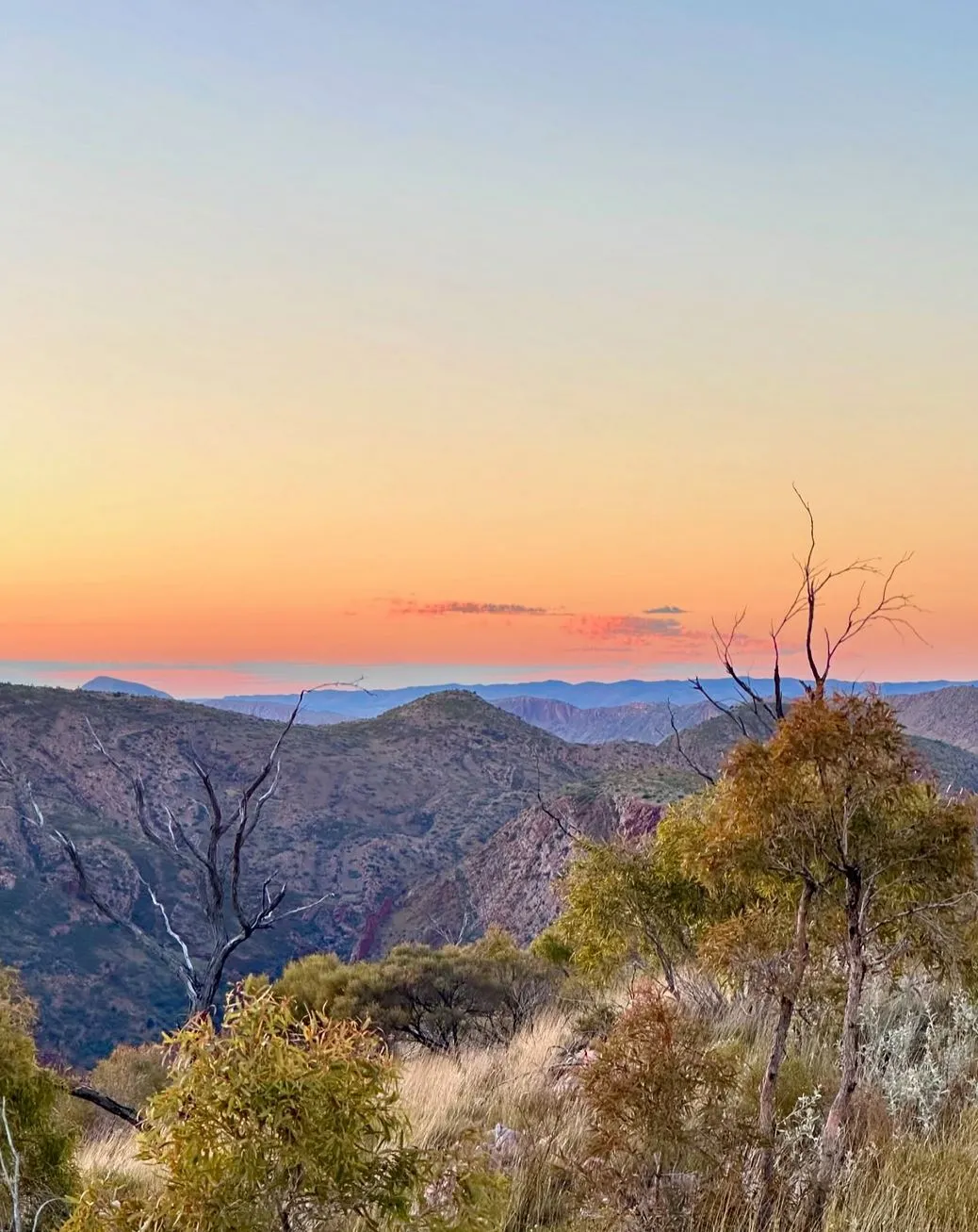 How to Book Larapinta Trail Permits for an Epic Hike