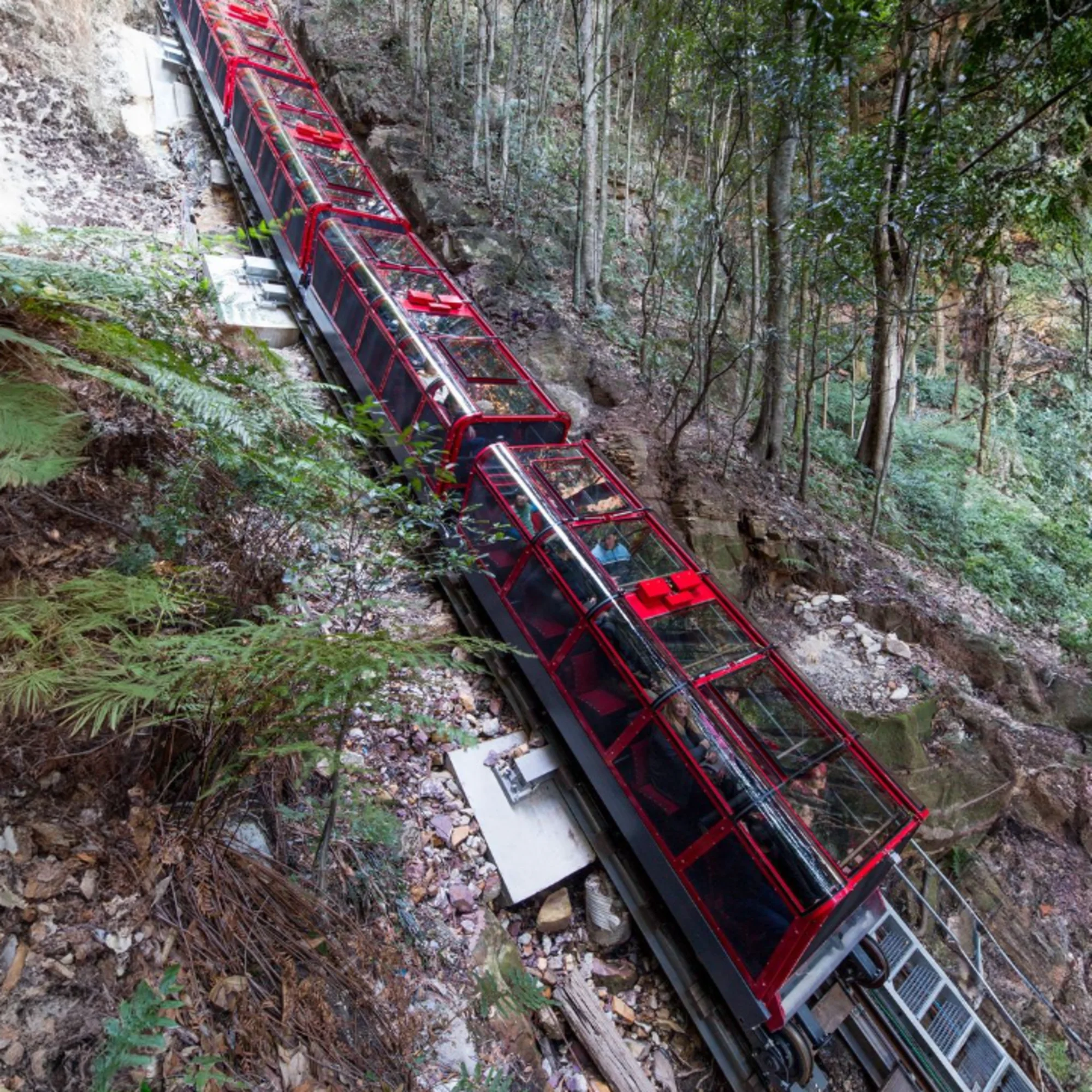 Scenic World Adventure