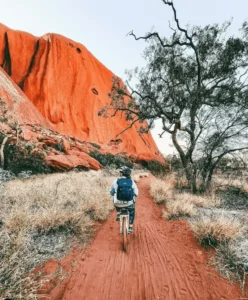 alice springs to uluru tours
