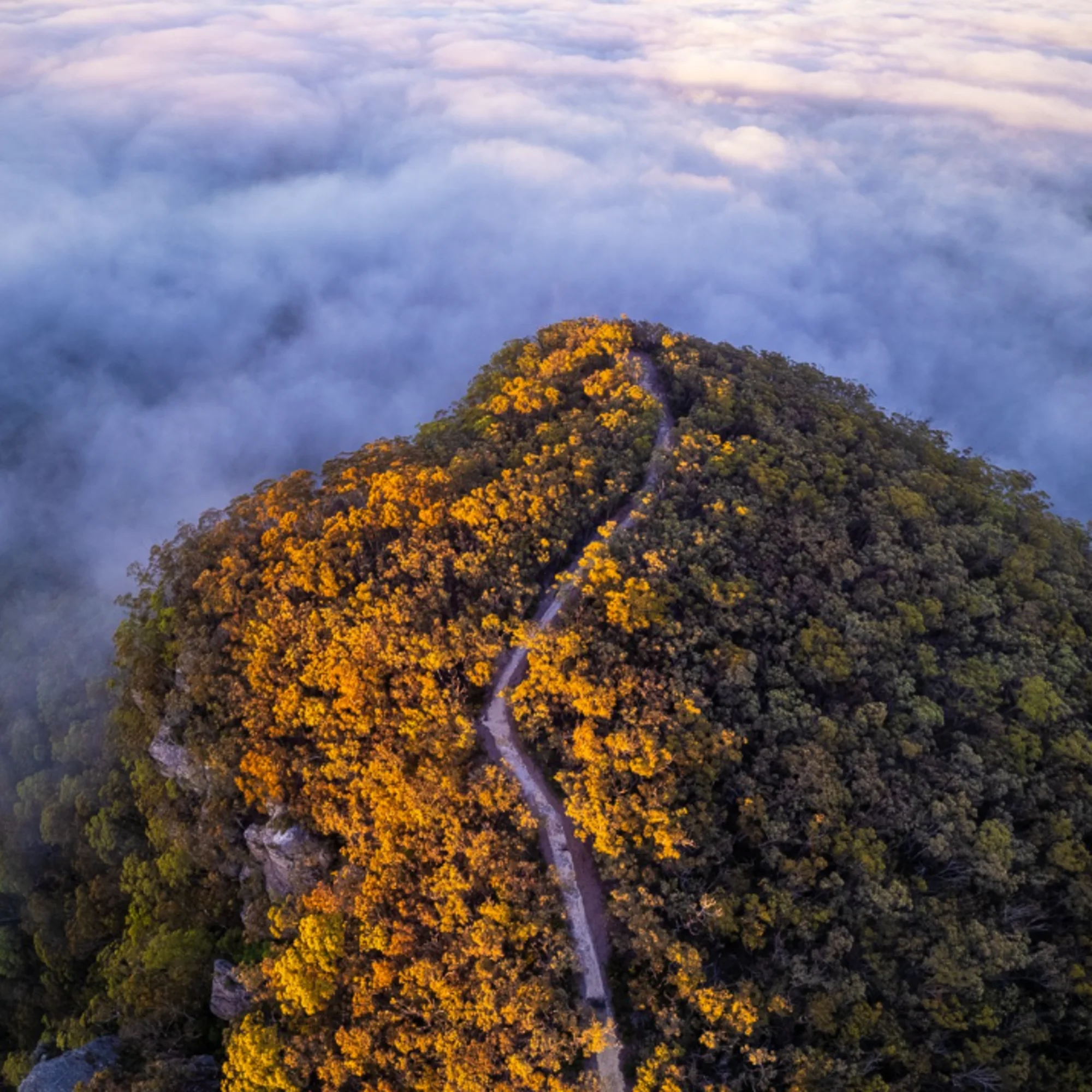 Nature's Trail
