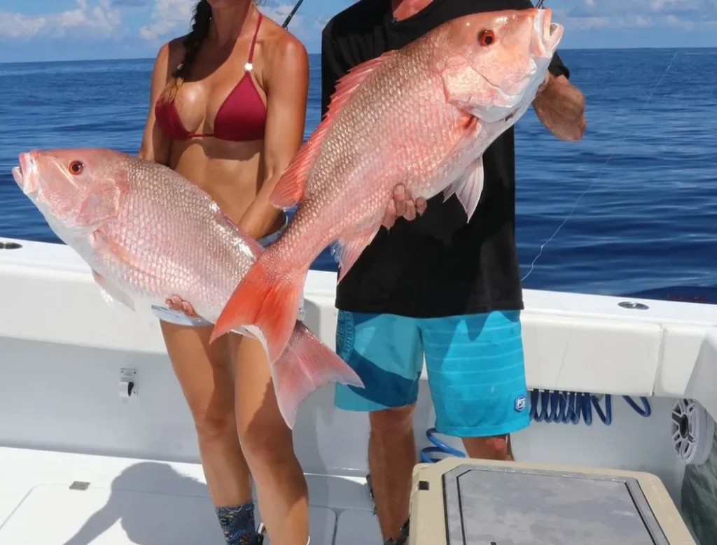 Targeting Snapper